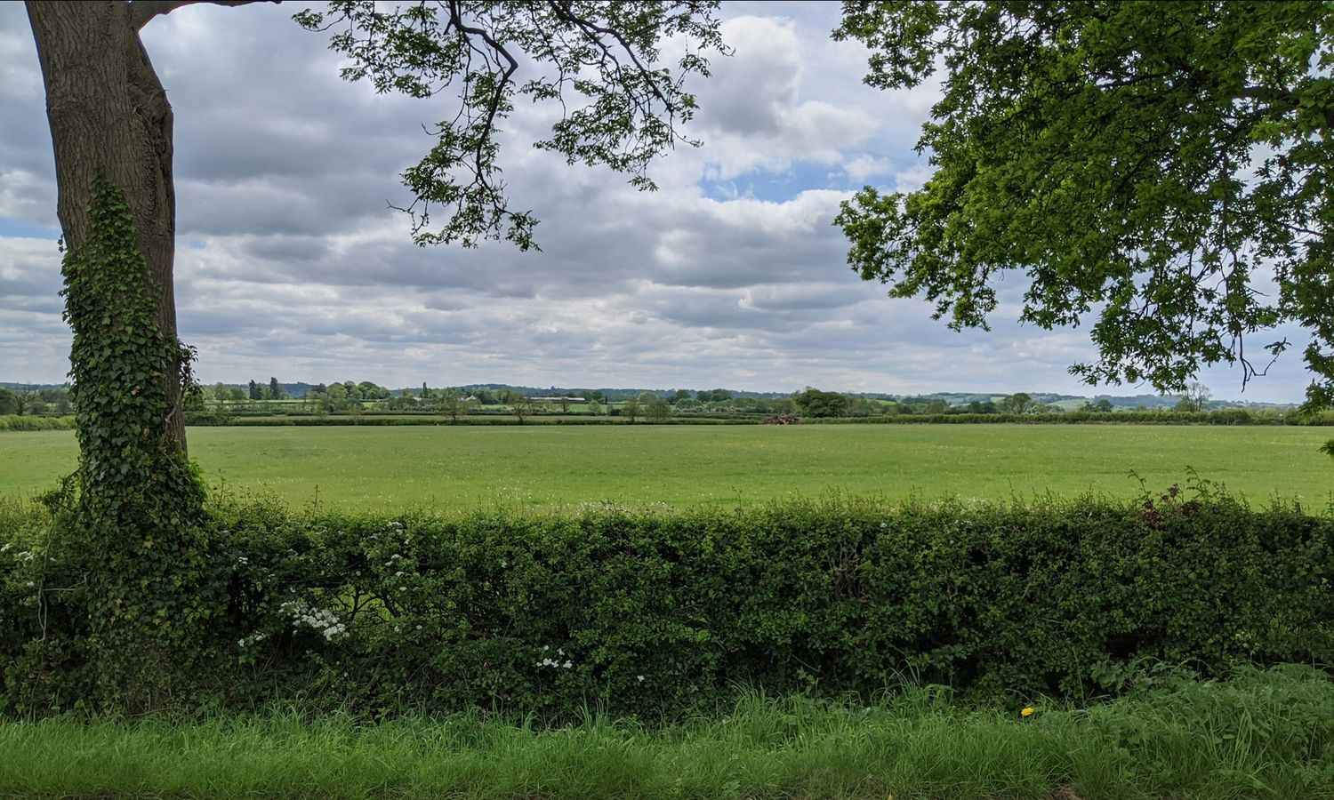 Open grass fields and hedge lines under a Somerset sky