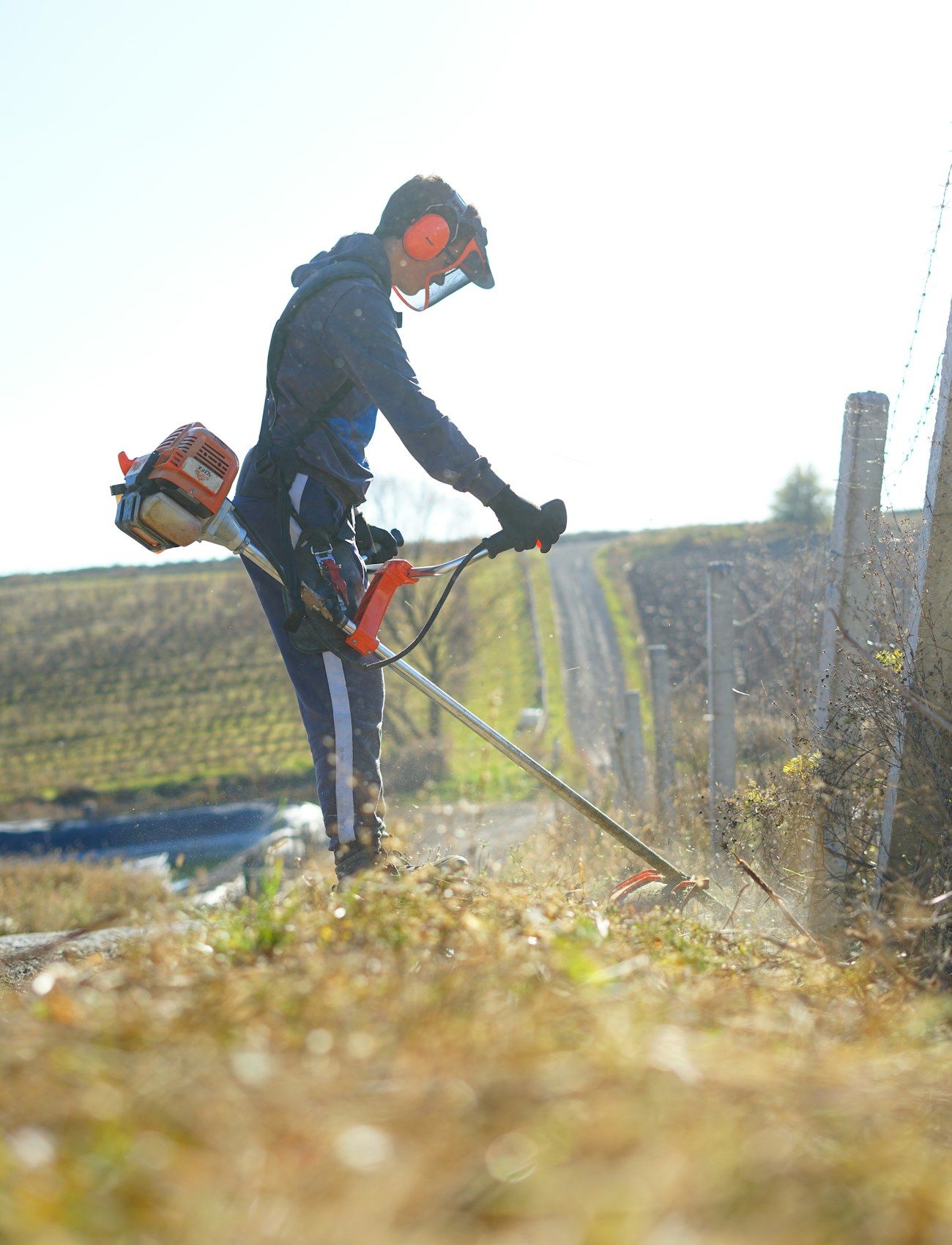 Operative in helmet and visor clearing vegetation with a brushcutter