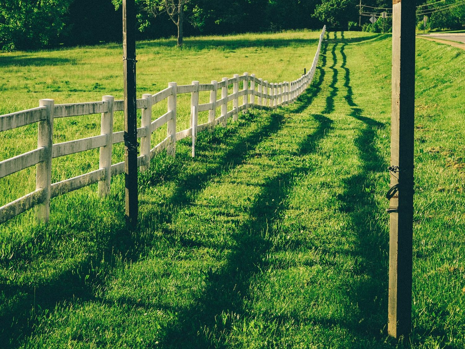 New stock fencing running across open pasture