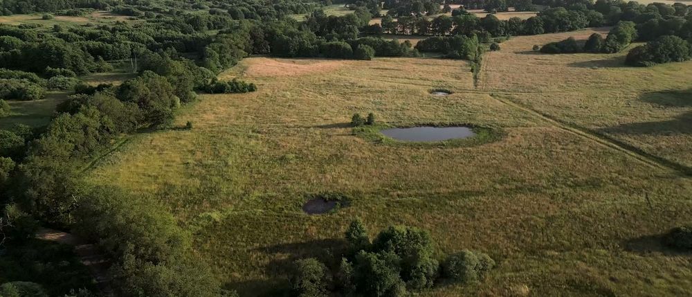 Aerial view over managed grassland, ponds and hedgerows in the South West