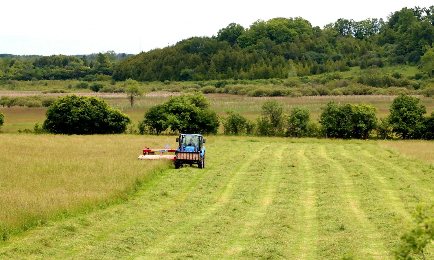 Tractor mowing a large grassed area
