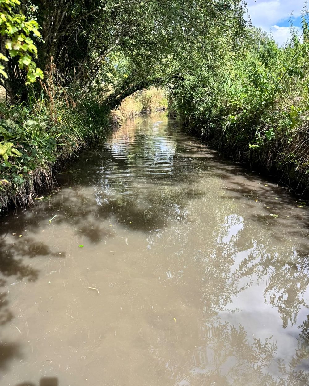 Drainage channel cleared and flowing between cut banks