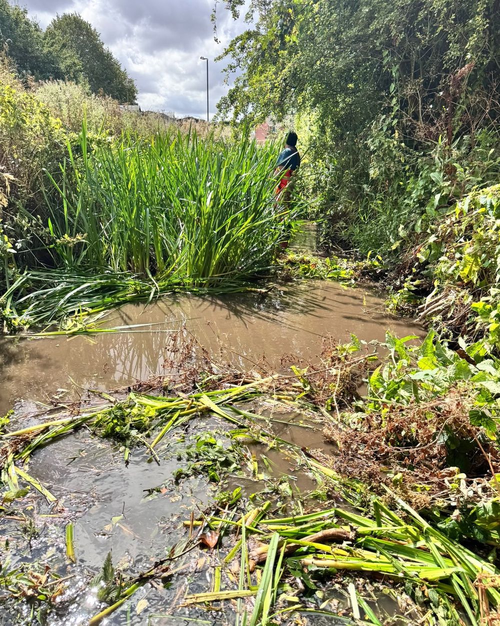 Cleared rhyne running between managed banks