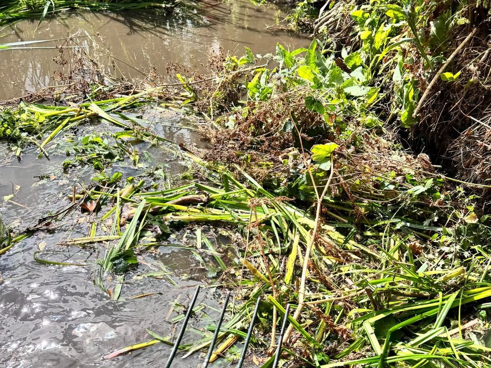 Machinery working in a watercourse on a Somerset job