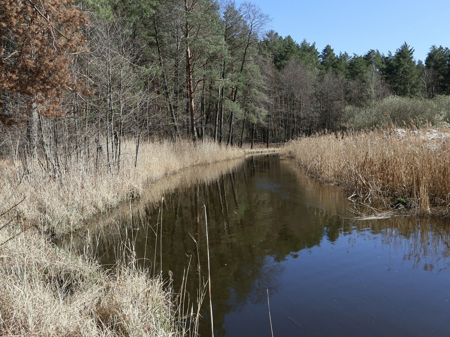 Watercourse running between vegetated banks